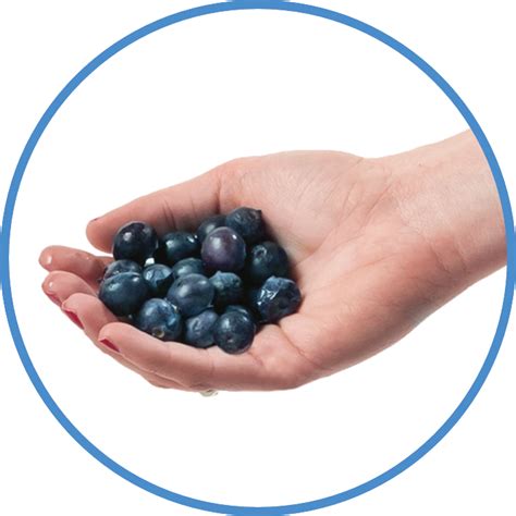 handful of blueberries calories